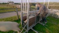Episode 8: Breaks Fold Farm